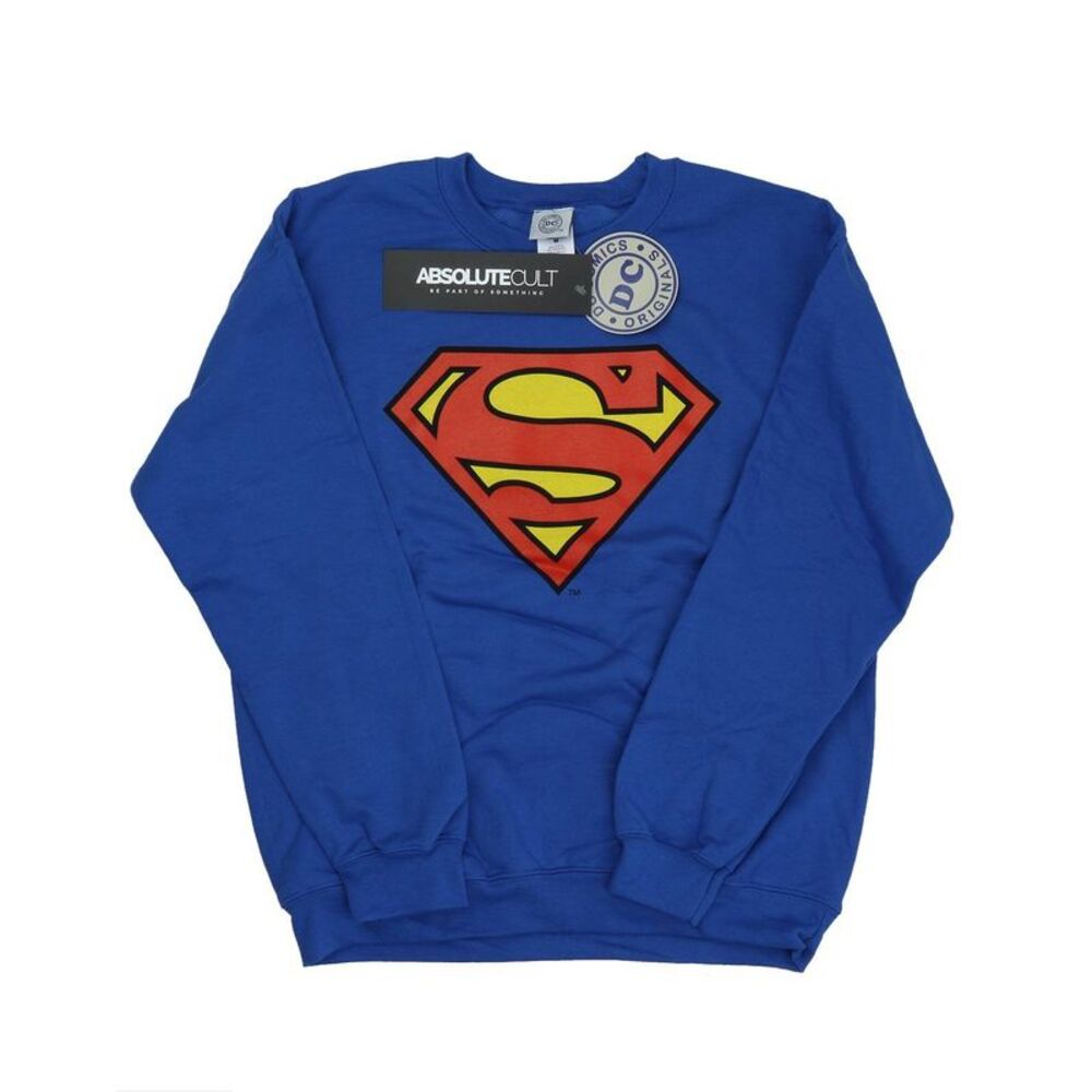DC Comics Mens Superman Logo Sweatshirt / Royal Blue